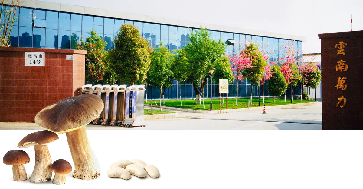 實(shí)力規(guī)模