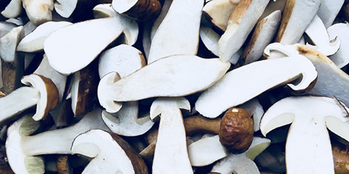 萬(wàn)力貿(mào)易云南野生菌合作案例 萬(wàn)力貿(mào)易云南野生菌合作案例