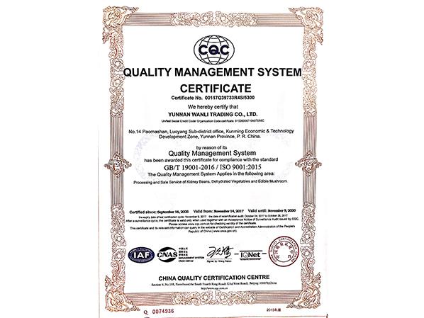 萬(wàn)力貿(mào)易英文質(zhì)量管理體系認(rèn)證證書