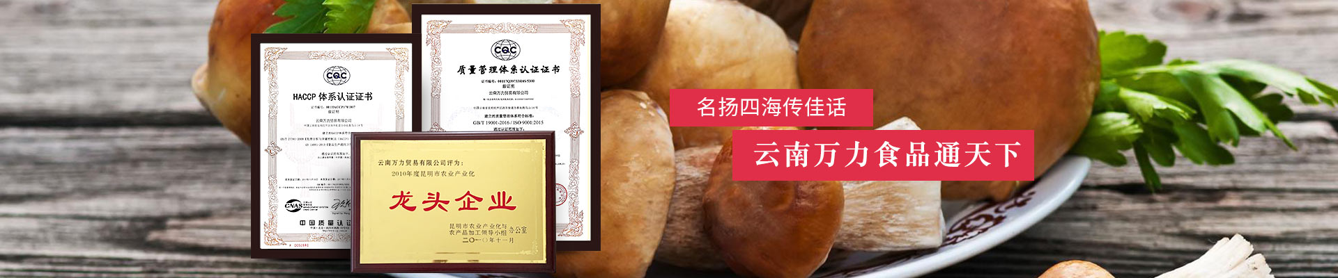 名揚(yáng)四海傳佳話，云南萬力食品通天下