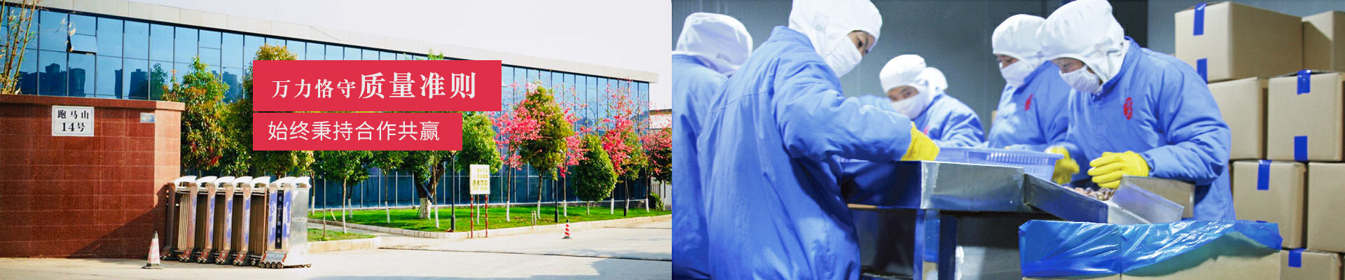 萬力恪守質(zhì)量準(zhǔn)則，始終秉持合作共贏