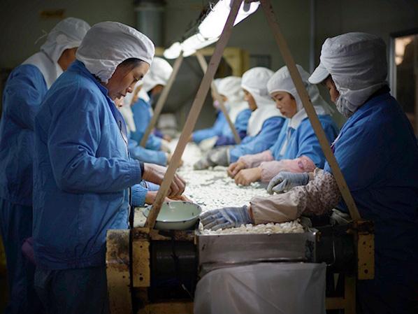 萬(wàn)力貿(mào)易員工風(fēng)采 萬(wàn)力貿(mào)易員工風(fēng)采