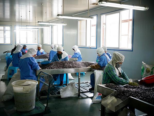 萬(wàn)力貿(mào)易產(chǎn)品加工現(xiàn)場(chǎng) 萬(wàn)力貿(mào)易產(chǎn)品加工現(xiàn)場(chǎng)