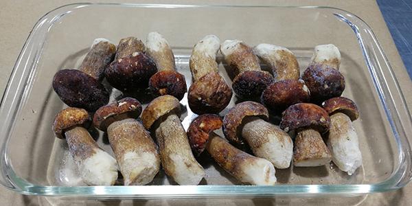 牛肝菌價格是多少？