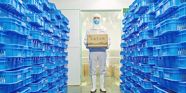 云南米線批發(fā)選萬力，為你提供品質(zhì)米線！