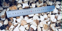 萬(wàn)力貿(mào)易野生菌合作案例 萬(wàn)力貿(mào)易野生菌合作案例