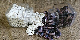 萬(wàn)力貿(mào)易蕓豆合作案例 萬(wàn)力貿(mào)易蕓豆合作案例