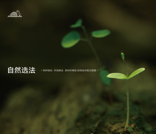 關(guān)于萬(wàn)力