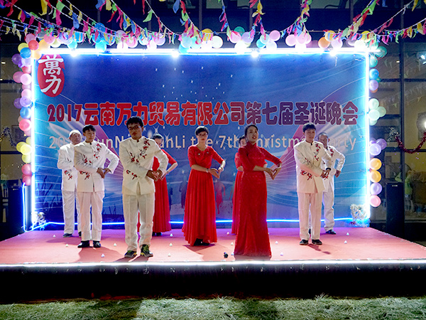 萬力貿易圣誕晚會節(jié)目
